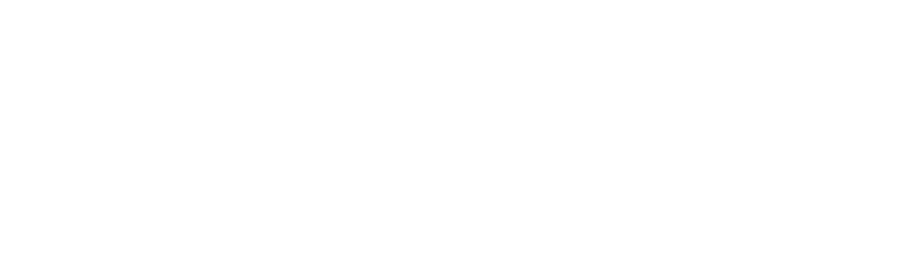 Dropship Academy